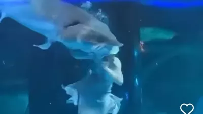 Grozljiv napad ribe na morsko deklico. Foto: Instagram