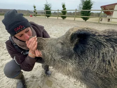  Rejka konj Elodie Cappe jo je pred skoraj dvema letoma našla na svoji kmetiji kot majhnega mladička.