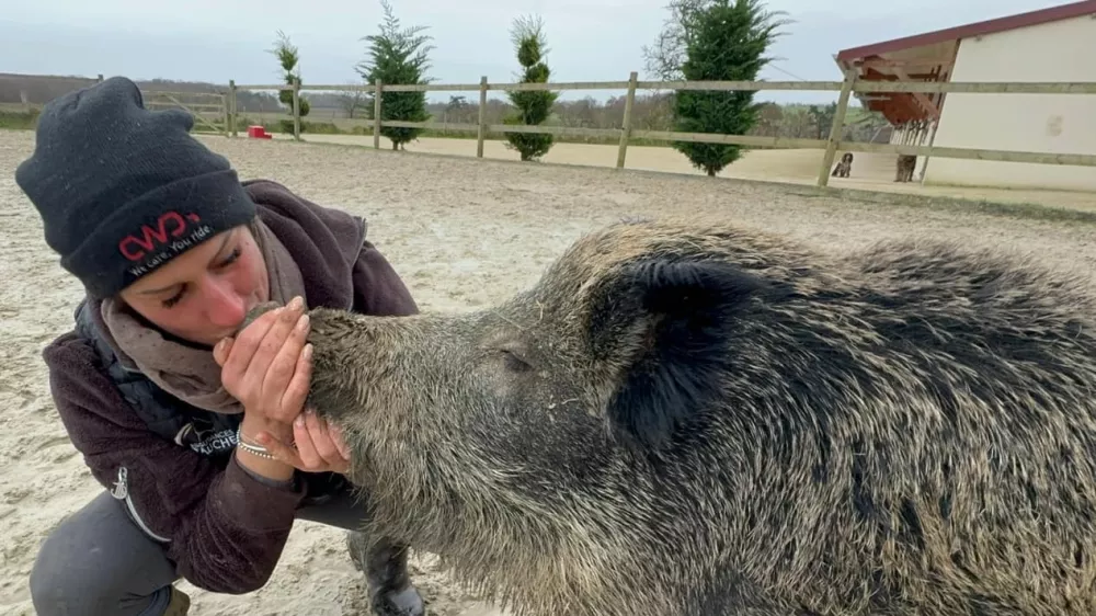  Rejka konj Elodie Cappe jo je pred skoraj dvema letoma našla na svoji kmetiji kot majhnega mladička.