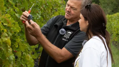 Silvan Peršolja ocenjuje letošnji pridelek 