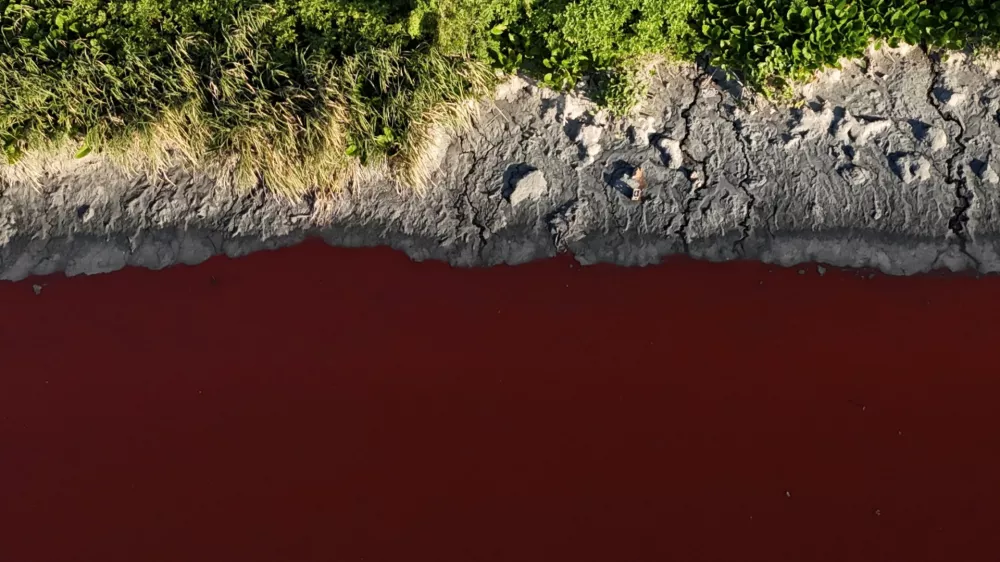 A drone view shows the Sarandi stream, which flows into the Rio de la Plata river, dyed red for unknown reasons, in Buenos Aires, Argentina February 6, 2025. REUTERS/Agustin Marcarian