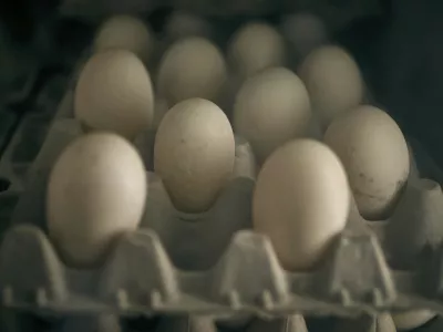 Eggs for sale are displayed inside a poultry store on Friday, Feb. 7, 2025, in New York. (AP Photo/Andres Kudacki)