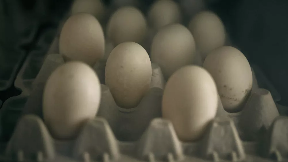 Eggs for sale are displayed inside a poultry store on Friday, Feb. 7, 2025, in New York. (AP Photo/Andres Kudacki)