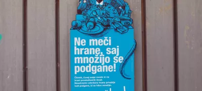 Na magistratu občane pozivajo, naj ne hranijo prostoživečih živali, saj s hrano lahko privabijo tudi podgane. Foto: Tomaž Skale