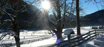 Zima, sneg, Jezersko, sonce Foto: Tatjana Pihlar