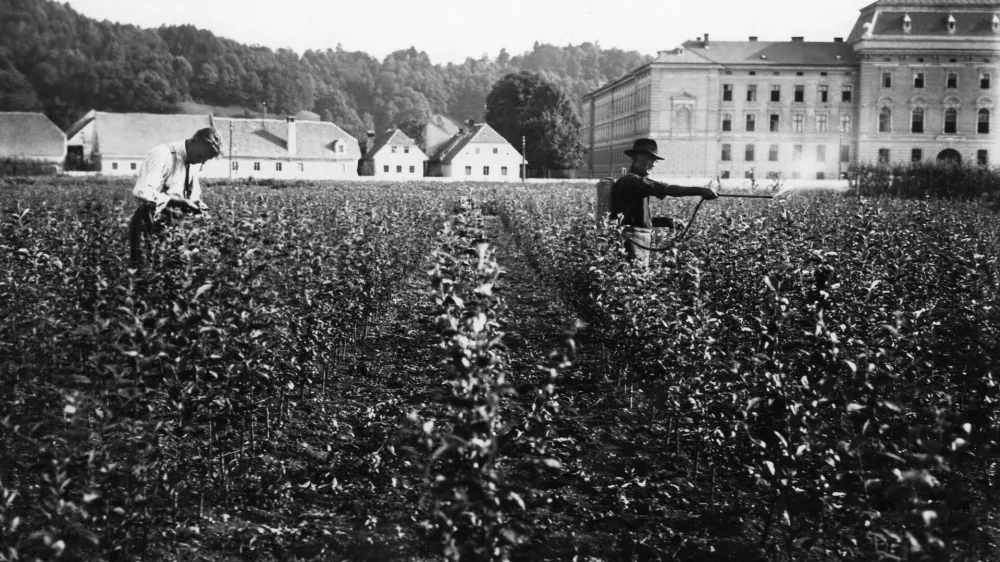 Neznani avtor, drevesnica Kmetijske družbe na Poljanah, v ozadju Kralja Petra vojašnica, znana tudi kot »Roška vojašnica«, Ljubljana, med obema svetovnima vojnama.Hrani: Muzej novejše in sodobne zgodovine Slovenije.