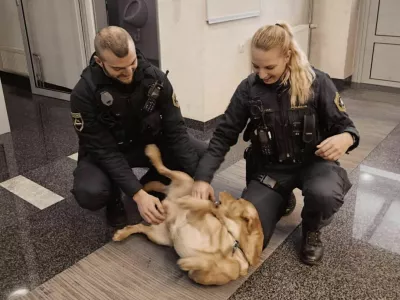 Rešen kuža Eros na škofjeloški policijski postaji. 