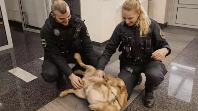 Rešen kuža Eros na škofjeloški policijski postaji. 