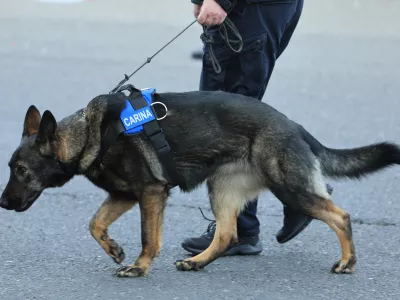 Policijski pes, prepovedane droge, meja, mejni prehod, carina, Hrvaška, 31.01.2022., Bajakovo, Granicni prijelaz - Konferencija za novinare u vezi zapljene vise od 10 tona duhanske melase za pusenje u vodenim lulama (nargilama). Photo: Davor Javorovic/PIXSELL