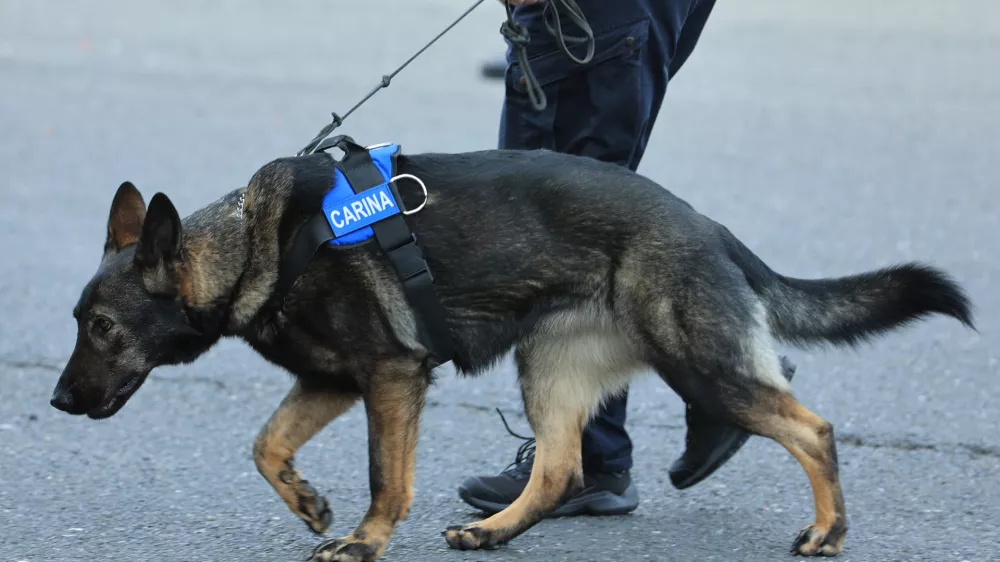 Policijski pes, prepovedane droge, meja, mejni prehod, carina, Hrvaška, 31.01.2022., Bajakovo, Granicni prijelaz - Konferencija za novinare u vezi zapljene vise od 10 tona duhanske melase za pusenje u vodenim lulama (nargilama). Photo: Davor Javorovic/PIXSELL