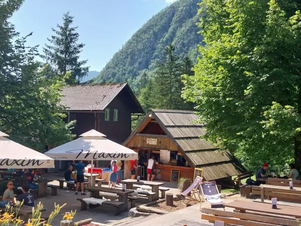 Nekateri objekti v lasti MKK naj bi se oddajali kar brez najemnine, večina najemnin pa naj ne bi bila tržnih, nekatere naj bi bile celo smešno nizke, zatrjujejo naši viri. Na fotografiji Dom v Kamniški Bistrici, ki je v lasti MKK. Foto: Vesna Levičnik