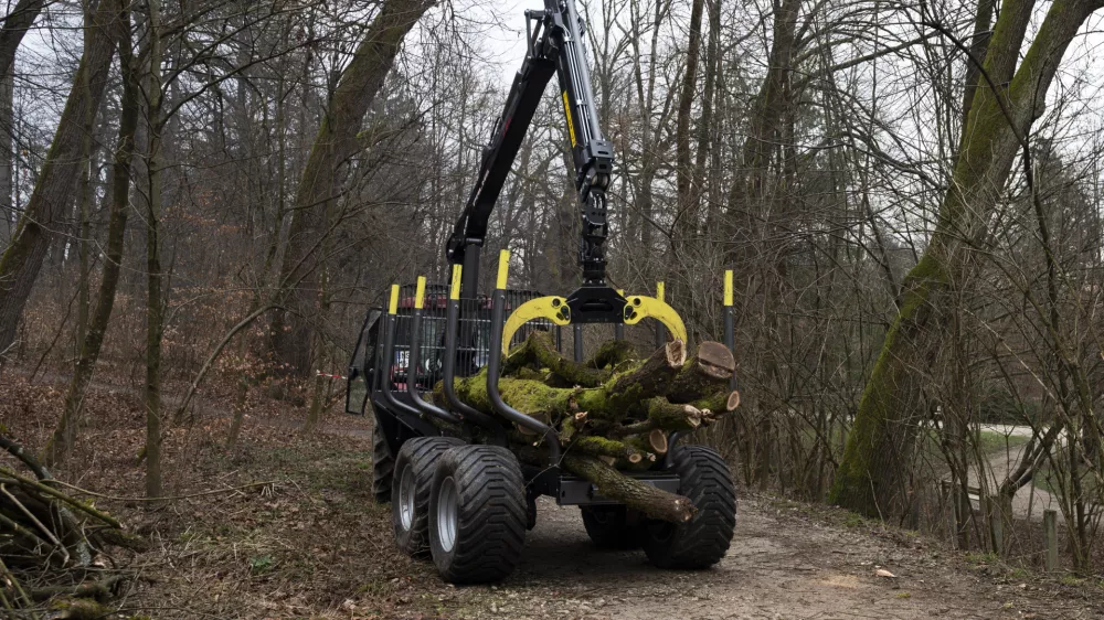 - 27.02.2024 – Krajinski park Tivoli – sečnja oslabljenih in bolnih dreves na območju Podrožniške poti v Krajinskem parku Tivoli, Rožnik in Šišenski hrib //FOTO: Nik Erik Neubauer