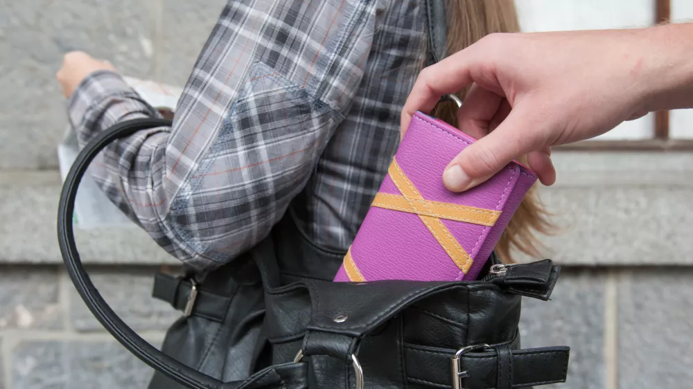 ﻿- 28.07.2015 - Žeparji v Ljubljani - Kraje - Denar - Turisti -//FOTO: Maja Marko