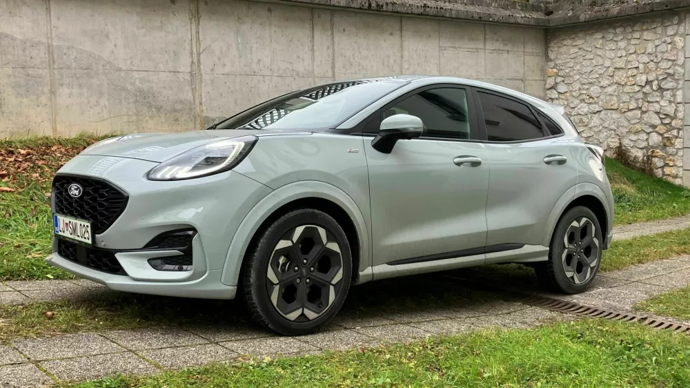 Puma sodi med bolj všečno oblikovane majhne športne terence, vožnja je dinamična, zmogljivosti pa zgledne.