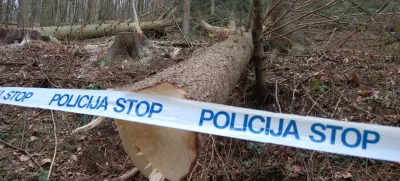 delovna nesreča v gozdu, med delom v pomurskih gozdovih umrl devetinpetdesetletnik