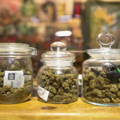 Med kupci so najbolj priljubljeni vršički CBD. Foto: Bojan Velikonja