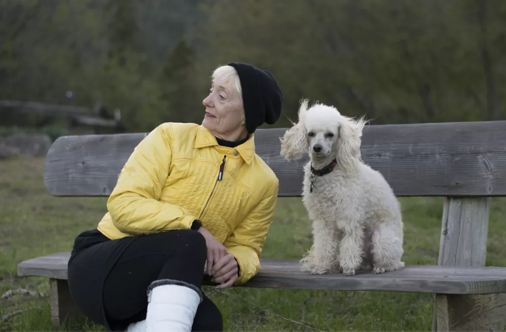 A fashionable woman and her poodle on a wood bench / Foto: Dawnalbright