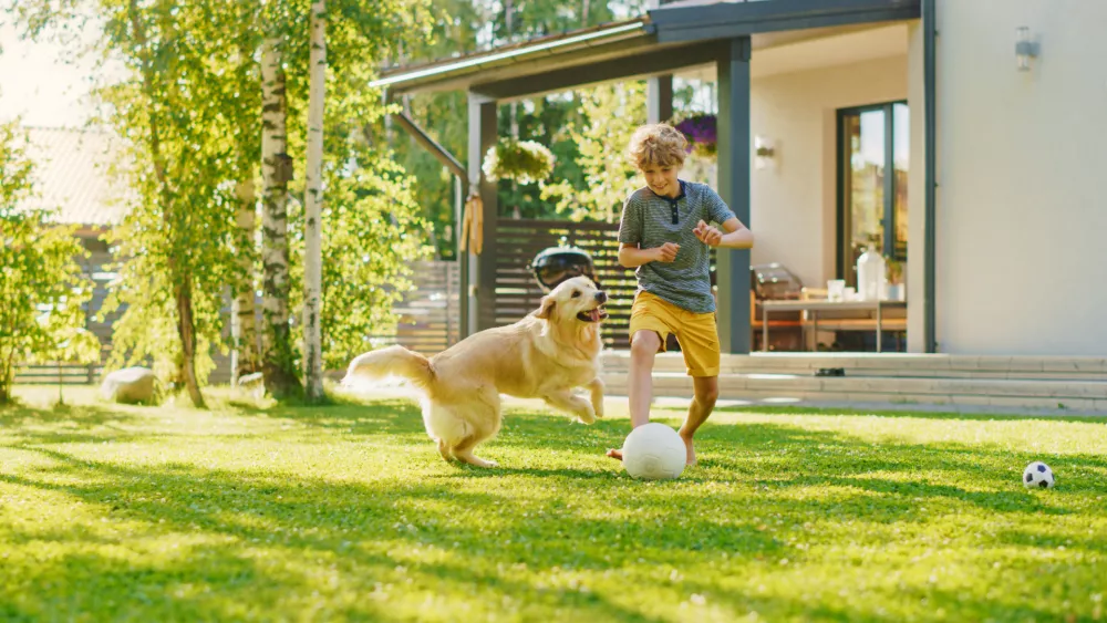 Handsome Young Boy Plays Soccer with Happy Golden Retriever Dog at the Backyard Lawn. He Plays Football and Has Lots of Fun with His Loyal Doggy Friend. Idyllic Summer House. / Foto: Gorodenkoff