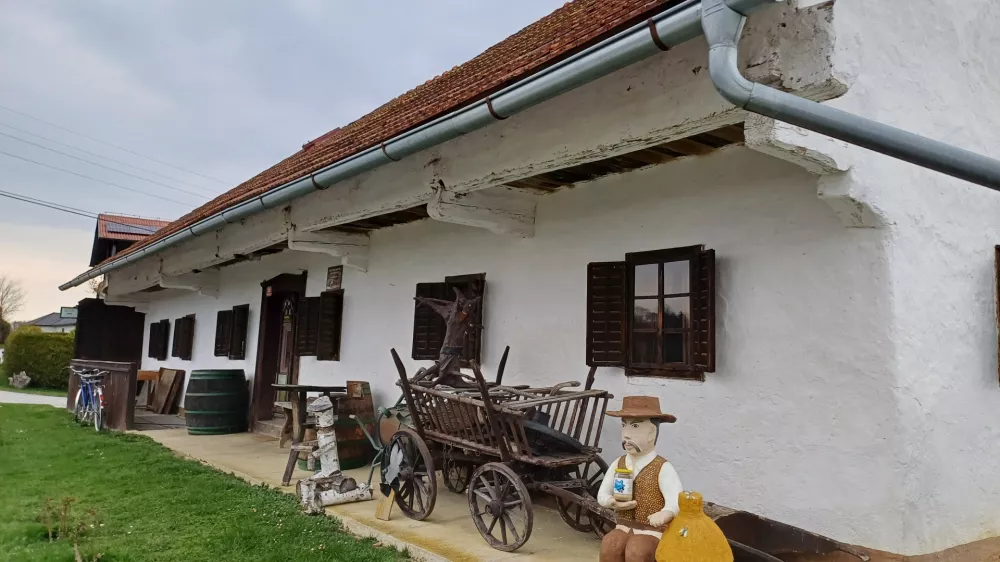 Domačija Kapl, Dražen Vrh, Slovenske Gorice, Viktor Kapl, prenovljena domačija, nagrada Šola prenove / Foto: Nataša Bucik Ozebek