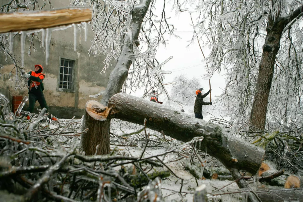 Posledice žledoloma so bile hude, rane so ostale vse do danes. / Foto: Bojan Velikonja/dokumentacija