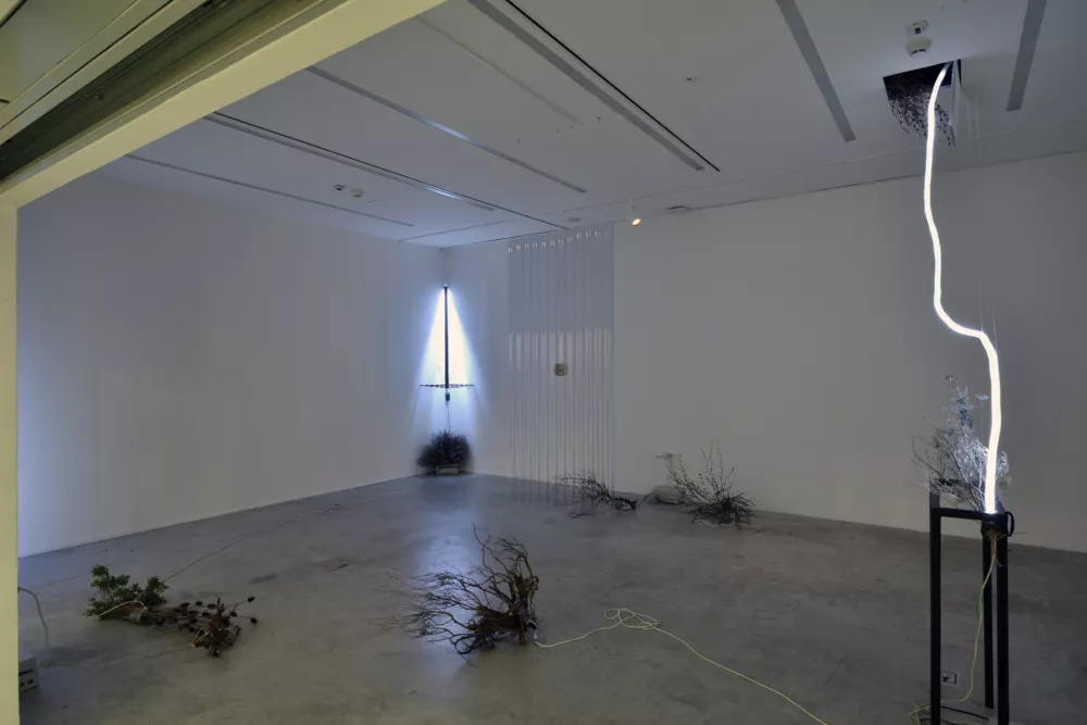 Nika Erjavec: Un objectivity. Foto: arhiv umetnice