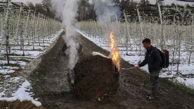 ﻿lastnik sadovnjaka Jure Bostele- sadovnjak Artiče - senene bale- 06.04.2021 - Spomladanska Pozeba - kurrjenje v sadovnjaku kot zaščita proti zmrzali - sadno drevje //FOTO: Jaka Gasar