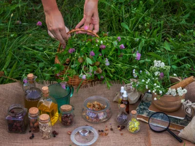 A woman collects medicinal herbs. / Foto: Anna Solovei
