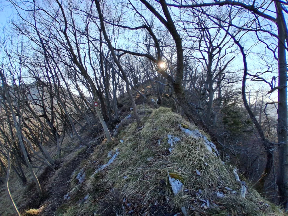 Običajna pot na Golavo poteka po grebenu, ki je proti vrhu vedno ožji. / Foto: Katja Petrovec