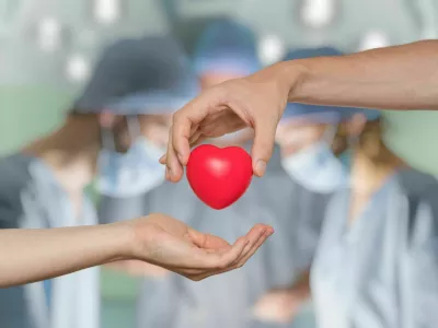 Heart transplant and organ donation concept. Hand is giving red heart. / Foto: Vchal