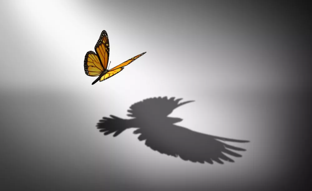Aspiration for change and ambition for improvement and success as a metaphor for growth and transformation as a butterfly casting a shadow of a flying bird with 3D illustration elements. / Foto: Wildpixel
