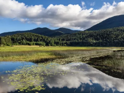 ﻿Mokrisce - cerkniško jezero