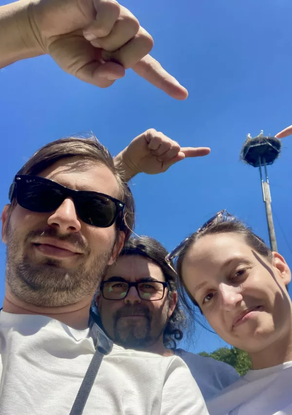 Popis bele štorklje / Foto: Tilen Basle