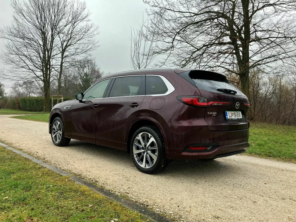 Prostornost je pisana z veliko začetnico tudi na vzdolžno pomični zadnji klop. Dostop do šestega in sedmega sedeža je vse prej kot enostaven.