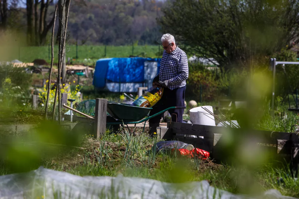 16.04.2025. Vrtički Grba.Pomlad v Ljubljani.//FOTO: Bojan Velikonja