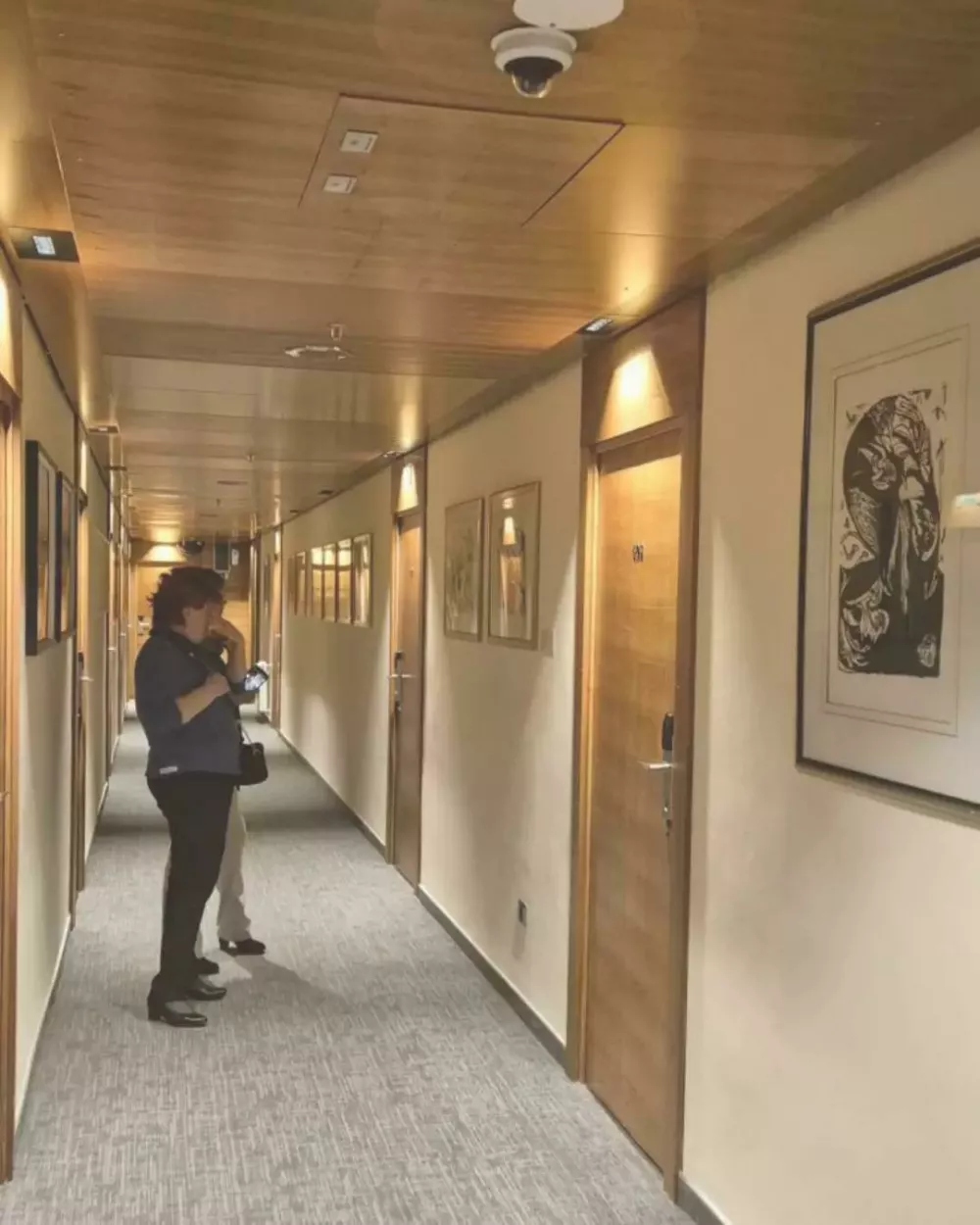 Razstava Hitove zbirke grafik primorskih likovnih umetnikov v novogoriškem Hotelu Park F arhiv GO!2025