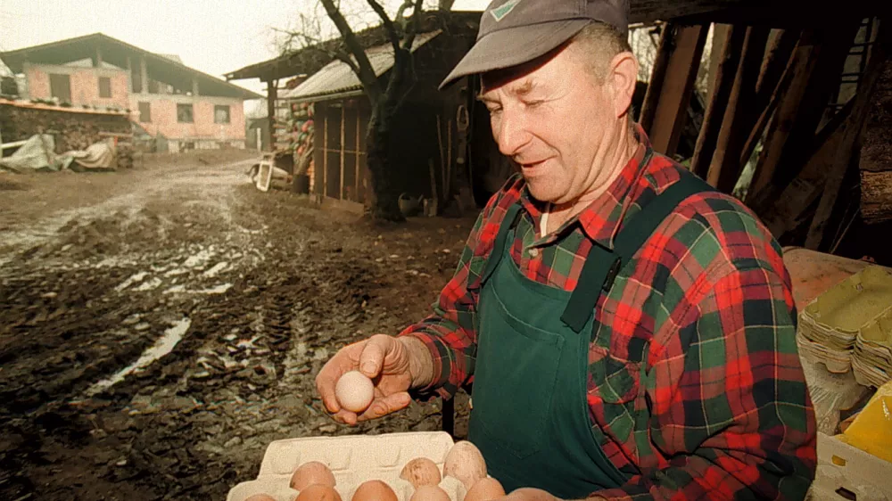 Stane Kermavner, jajca kmet