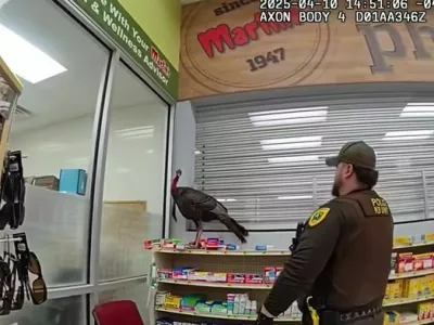 Soočenje ogromnega ptiča in pogumnega policista. 