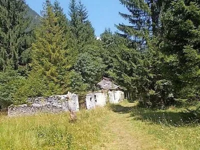 Janša parcela Trenta