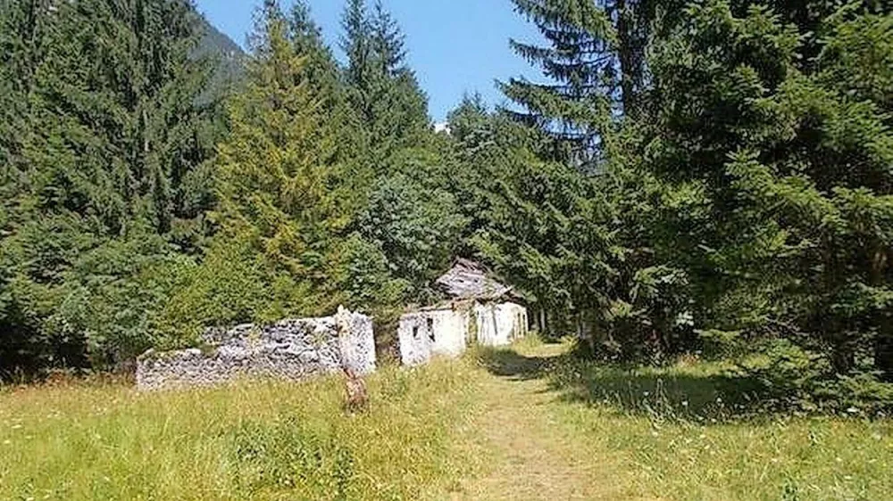 Janša parcela Trenta