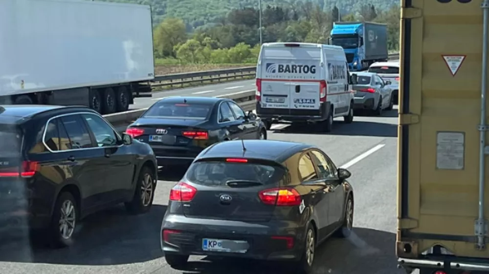 Foto: Zavod Ustvarimo reševalni pas