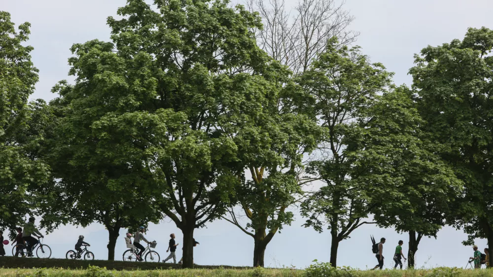 ﻿- 05.05.2018 – Zadnji dan pohoda Pot ob žici bodo 35-kilometrsko traso okoli Ljubljane napolnili pohodniki in tekači. Izbirali bodo lahko med krajšimi rekreativnimi pohodi, pohodom na 35 kilometrov ter tekom trojk na 12,5 oziroma 29 kilometrov.//FOTO: Luka Cjuha.