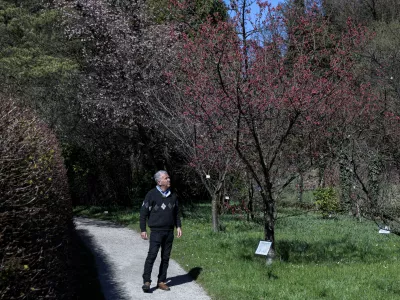 Vodja Botaničnega vrta Univerze v Ljubljani Jože Bavcon je povedal, da je na bližnjem zemljišču Mestne občine Ljubljana predvidena zasnova nove zelene površine in rastlinjaka za sredozemske in puščavske rastline. Foto: Jaka Gasar