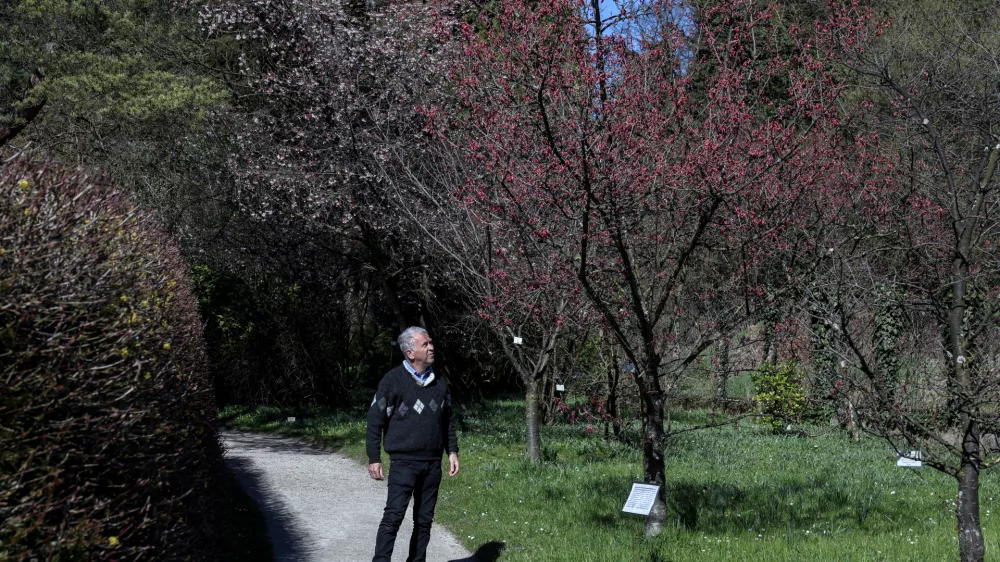 Vodja Botaničnega vrta Univerze v Ljubljani Jože Bavcon je povedal, da je na bližnjem zemljišču Mestne občine Ljubljana predvidena zasnova nove zelene površine in rastlinjaka za sredozemske in puščavske rastline. Foto: Jaka Gasar