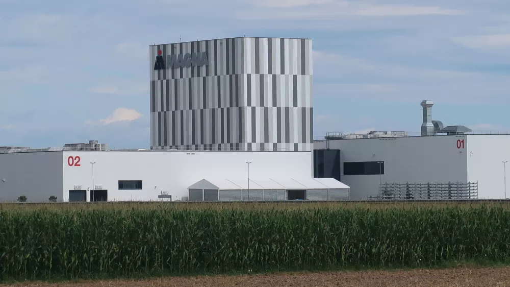 Magna, Hoče, kmetijsko zemljišče. Foto: Tatjana Pihlar