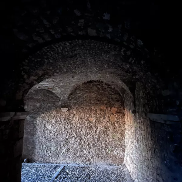 Netopirji na gradu Rihemberk. Foto: Boštjan Perovšek