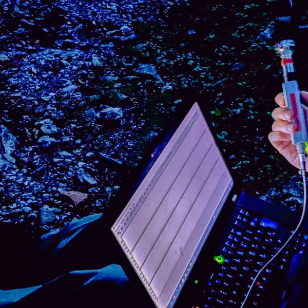 33-minutno skladbo Boštjana Perovška sestavljajo ljudem slišni nočni zvoki, ki se jim pridružijo zvoki netopirjev v ultrazvočnem spektru, primerno obdelani in prestavljeni v človeku slišno frekvenčno območje. Netopirjevim glasovom se pridružijo tudi ostali (predvsem) nočni zvoki, ki imajo funkcijo zvočnega ozadja. Foto: osebni arhiv skladatelja