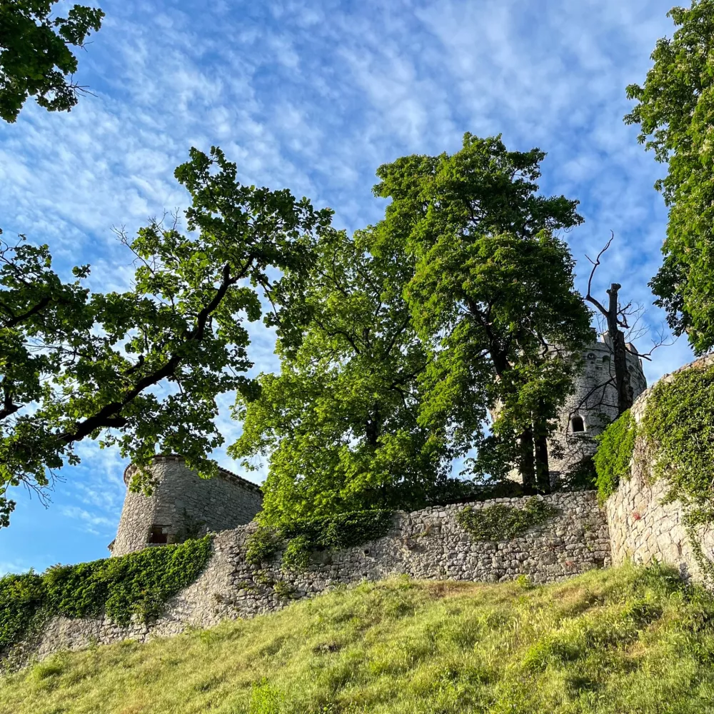 Prostor zvočne skulpture je sestavljen iz notranjega (grajskega), oddaljenega gozdnega in sredinskega prostora, ki ga predstavlja zunanji plato okoli gradu. Foto: Boštjan Perovšek
