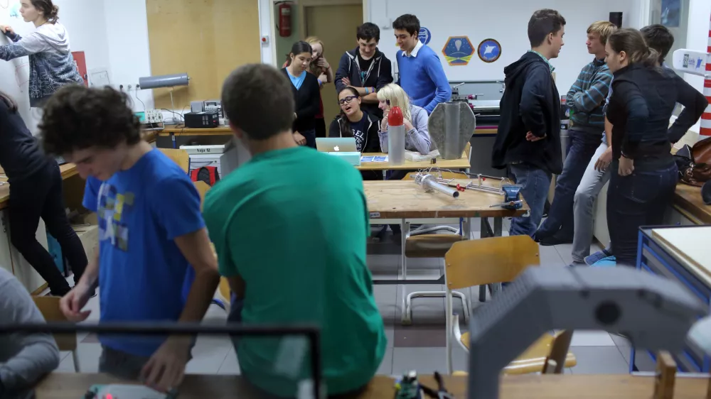 V naši državi nimamo nacionalne strategije za delo z nadarjenimi mladimi. Fotografija je simbolična. Foto: Jaka Gasar