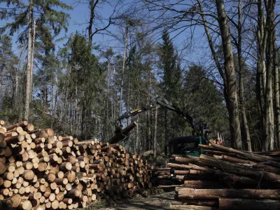 Če je po eni strani veliko govora o skoraj obvezni gospodarski rasti, ko pride recesija, pa nastane cela drama, na drugi strani ne moremo govoriti, da bomo imeli manj izpustov, je pojasnil vodja oddelka za prirastoslovje in gojenje gozdov na Gozdarskem inštitutu Slovenije Tom Levanič. Foto: Luka Cjuha 