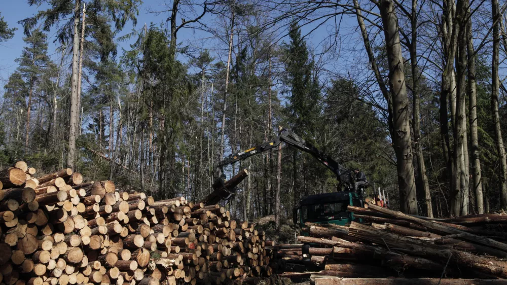 Če je po eni strani veliko govora o skoraj obvezni gospodarski rasti, ko pride recesija, pa nastane cela drama, na drugi strani ne moremo govoriti, da bomo imeli manj izpustov, je pojasnil vodja oddelka za prirastoslovje in gojenje gozdov na Gozdarskem inštitutu Slovenije Tom Levanič. Foto: Luka Cjuha 